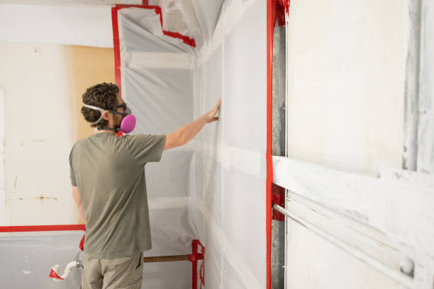 Environmental Consulting for Mold Prevention in Frostproof, FL