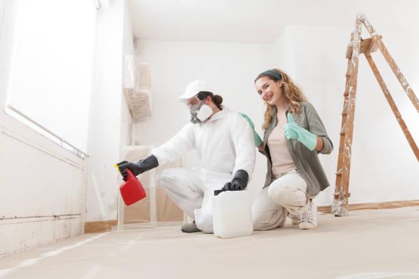 Best Real Estate Mold Inspection  in Frostproof, FL