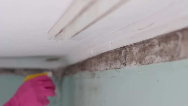Best Air Quality Testing for Mold Spores  in Frostproof, FL